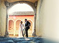 Foto Geci :: 098 555 677